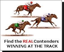 Find the REAL Contenders
