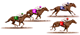 horse racing software