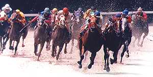 horse race handicapping
